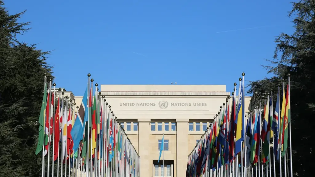 Le bâtiment des Nations Unies avec ses drapeaux internationaux flottant au vent.